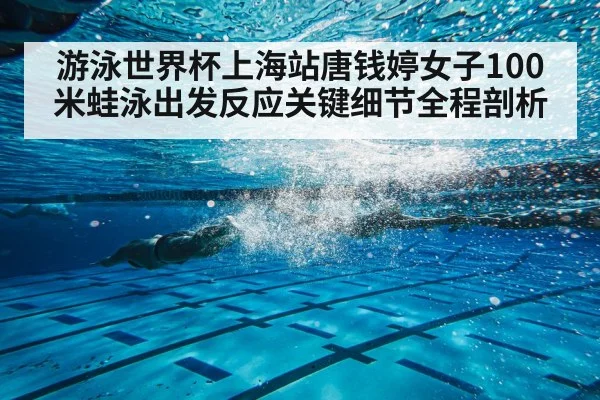 游泳世界杯上海站唐钱婷女子100米蛙泳出发反应关键细节全程剖析